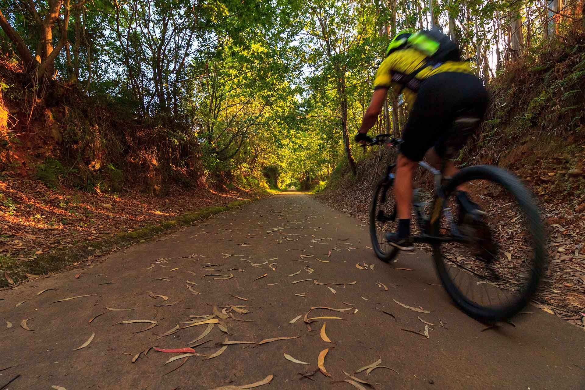 Podzimní cyklistika – Jak si užít barevný podzim na kole